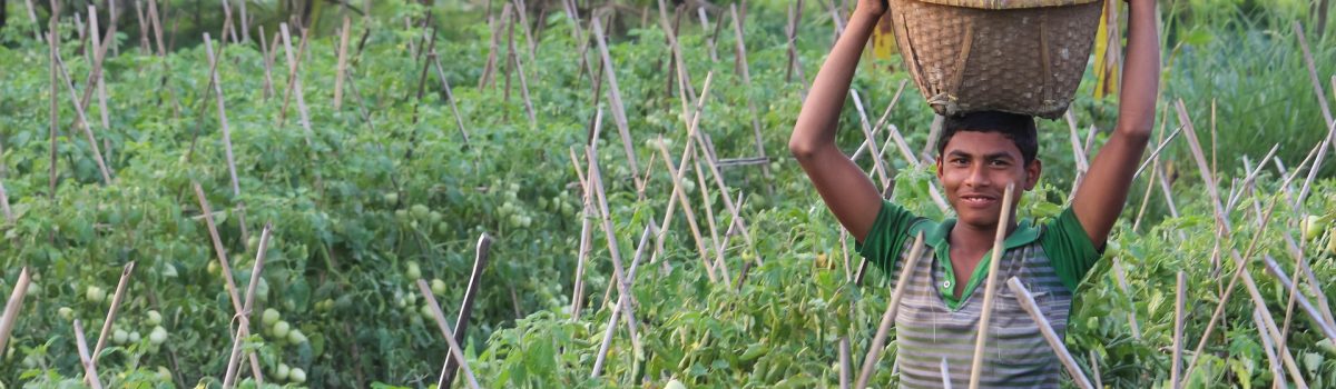 agriculture bangladesh